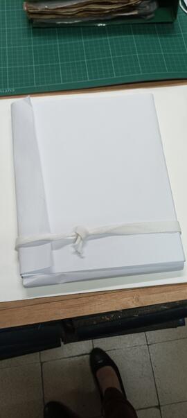Tareas de conservación del Fondo Personal José María Rey