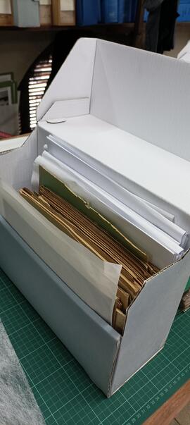 Tareas de conservación del Fondo Personal José María Rey
