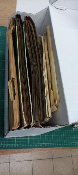 Tareas de conservación del Fondo Personal José María Rey