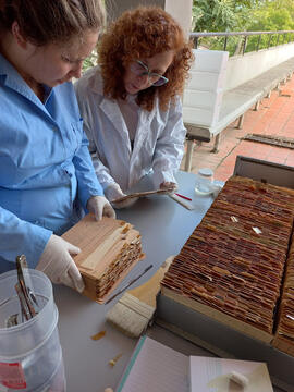 Myriam Hara y Delfina Pavón en el Archivo de la Facultad de Ciencias Veterinarias